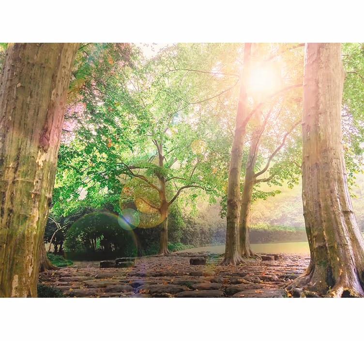 Fotobehang natuur weelderige groene rust - TenStickers