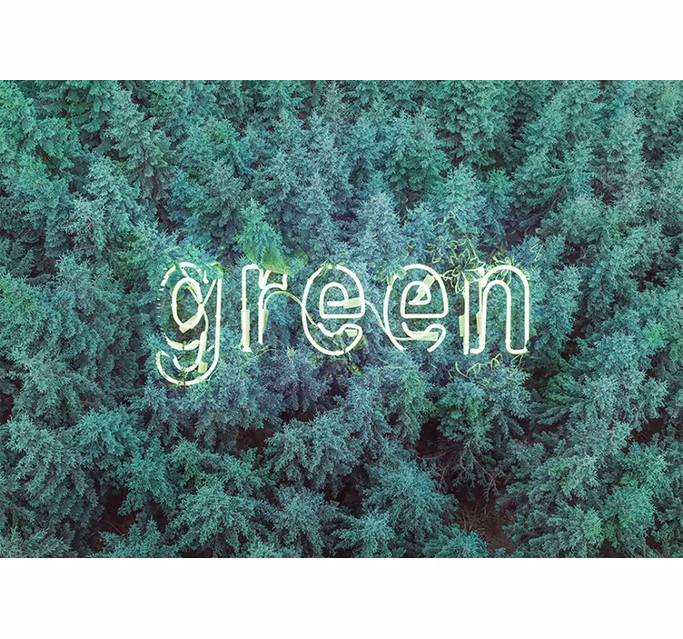 Foto behang natuur groene bos lettertype - TenStickers