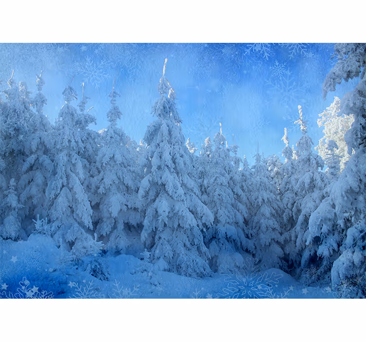 Foto behang bos met besneeuwde dennenbomen - TenStickers