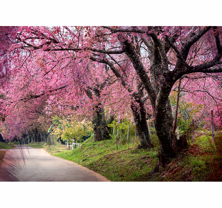Fotobehang bloemen blossom trail - TenStickers