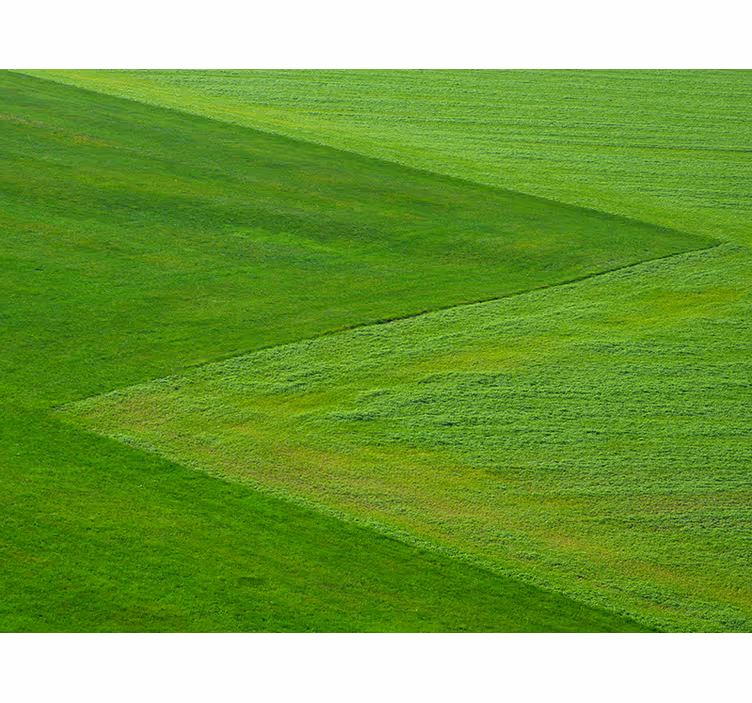 Puur groene velden foto behang natuur - TenStickers