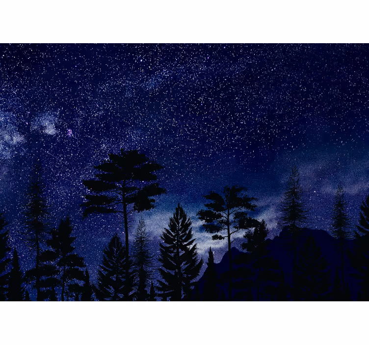 Fotobehang lucht sterrenwoud silhouetten - TenStickers