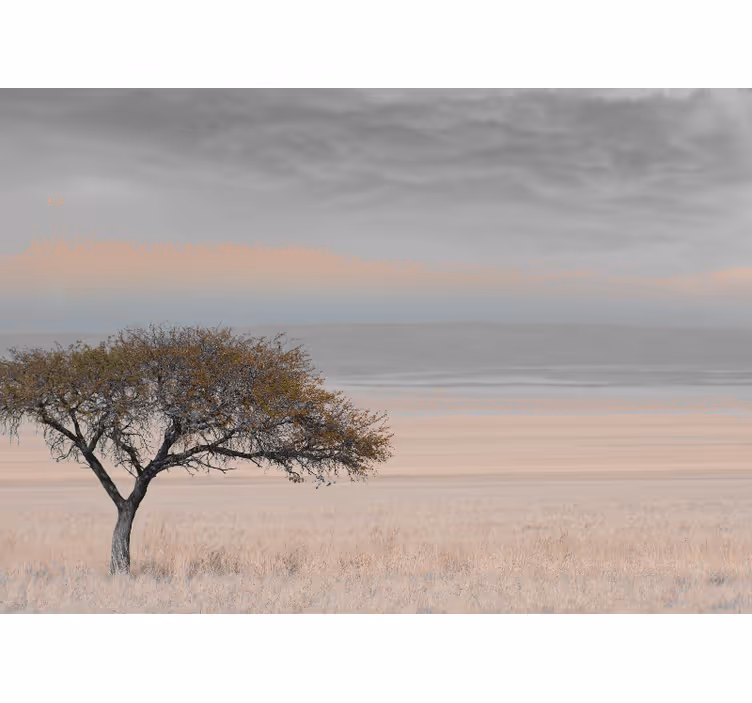 Fotobehang natuur geïsoleerd bomenlandschap - TenStickers