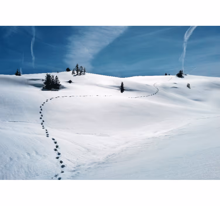Foto behang bergen sneeuwachtige bergpad - TenStickers