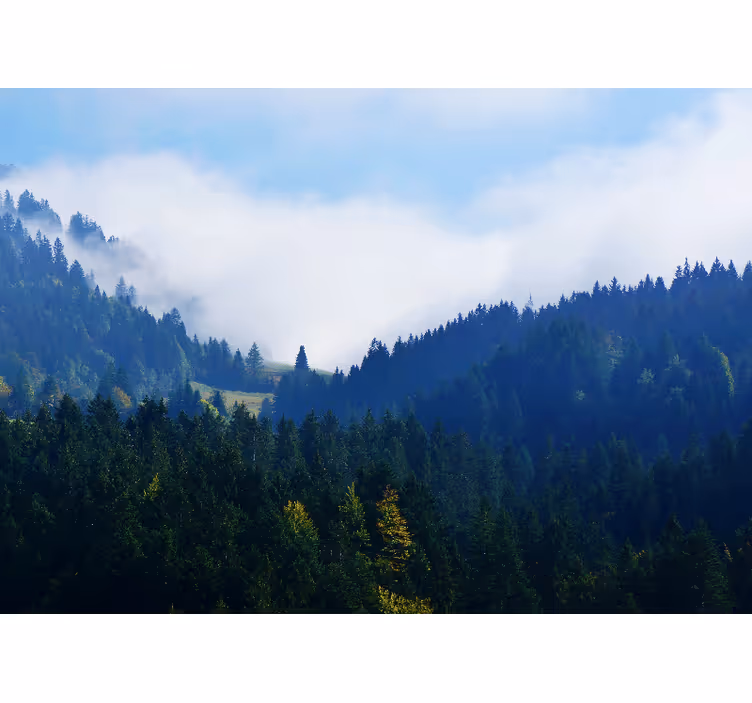 Foto behang natuur bergen en mist - TenStickers
