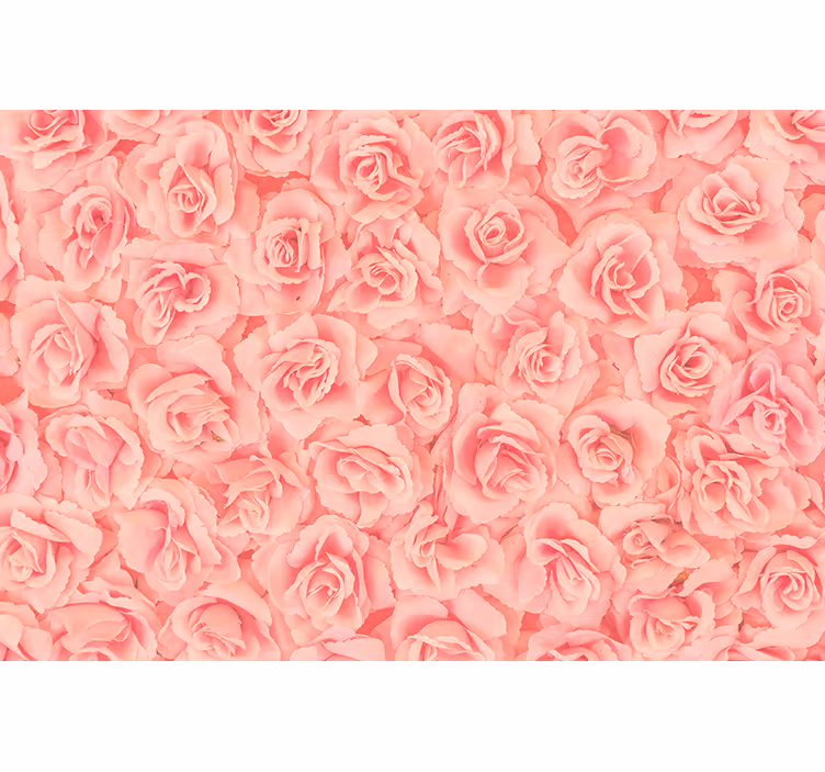 Fotobehang bloemen rozen in bloei - TenStickers