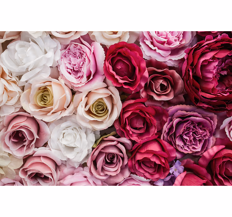 Fotobehang bloemen mooie rozen collectie - TenStickers
