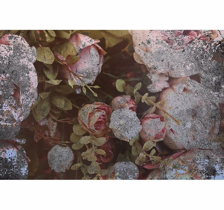 Fotobehang bloemen rozen en bladeren - TenStickers