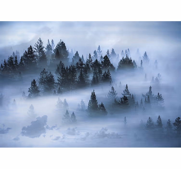 Foto behang natuur mistige groene bossen - TenStickers