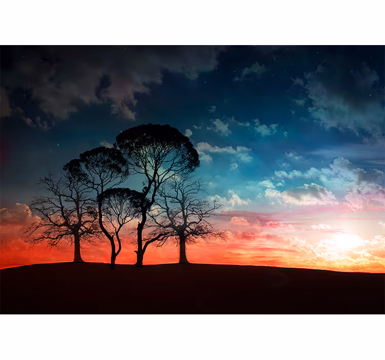 Bomen fotobehang silhouetboom zonsondergang - TenStickers