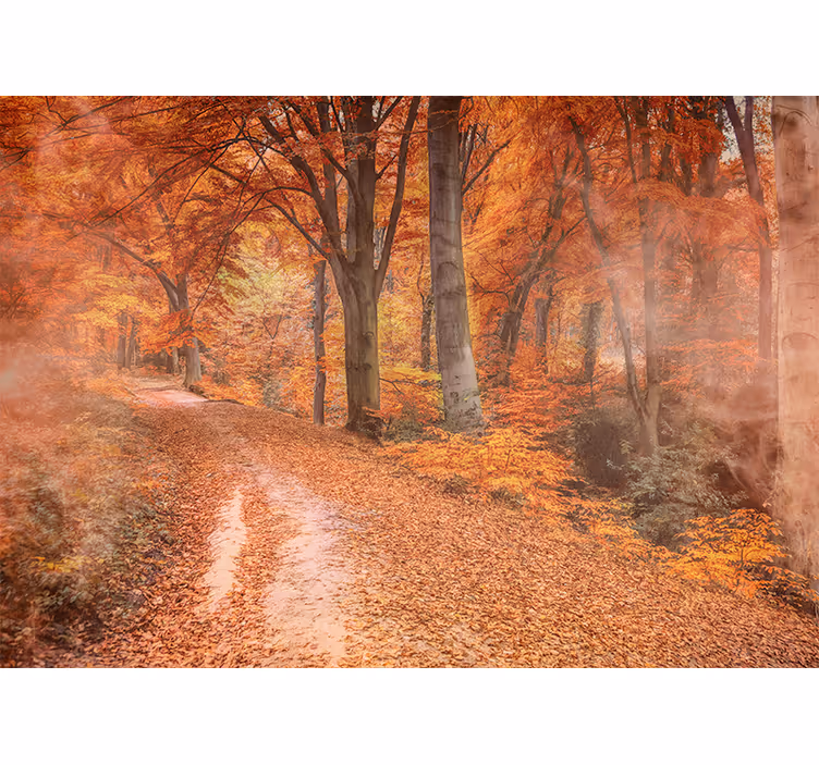 Fotobehang natuur herfstpad - TenStickers