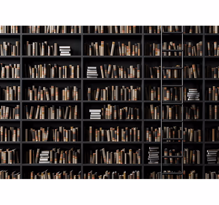 Fotobehang stenen bibliotheek boek assortiment - TenStickers