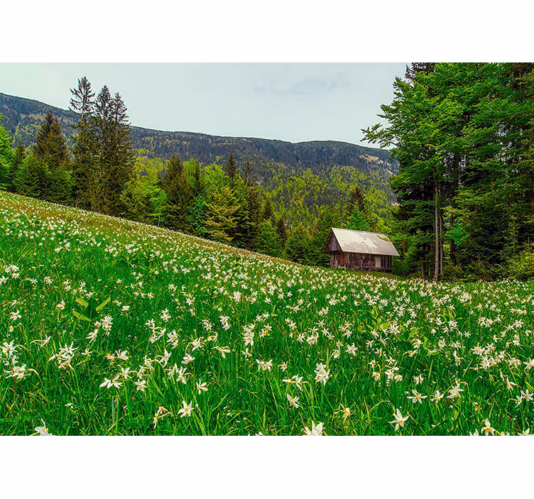 Foto behang natuur vredig landschap - TenStickers