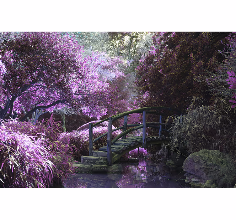 Foto behang natuur rustige brug landschap - TenStickers