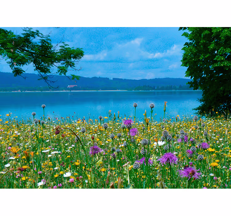 Fotobehang bloemen weelderige weilandflora - TenStickers