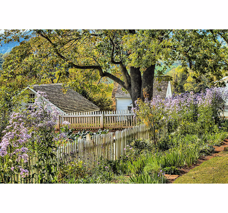 Fotobehang landschap serene tuin uitzicht - TenStickers