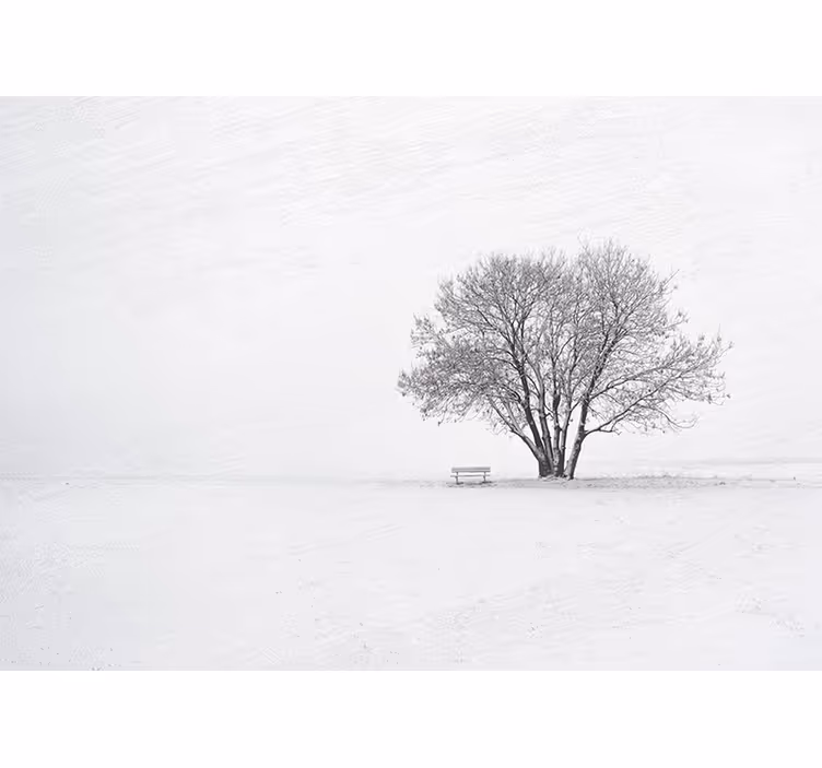 Foto behang natuur eenzame sneeuwboom - TenStickers