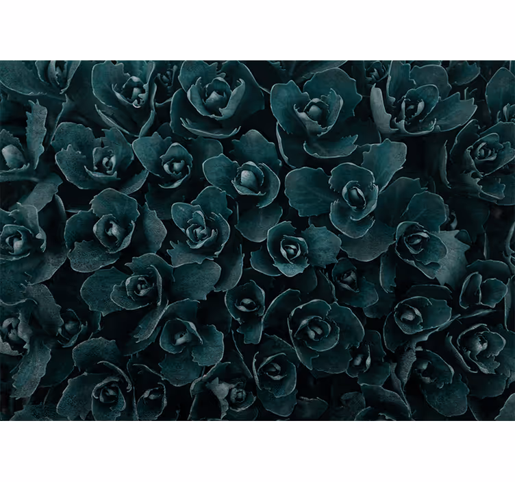 Fotobehang bloemen elegante rozenbloesem - TenStickers