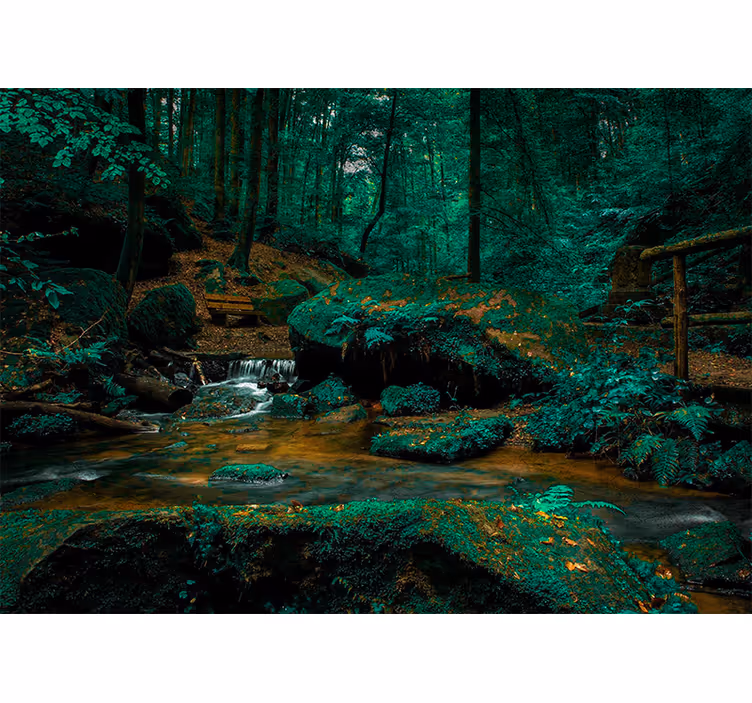 Foto behang bos serene bosbeek - TenStickers