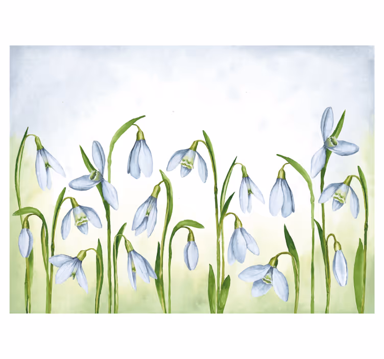 Fotobehang andere bloemen sneeuwklokje flora - TenStickers