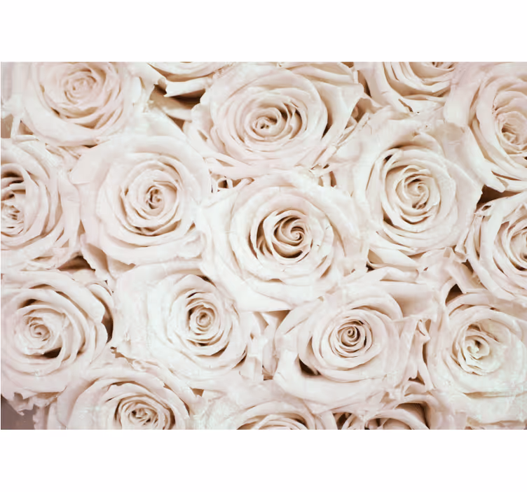 Fotobehang bloemen zachte rozenarrangement - TenStickers