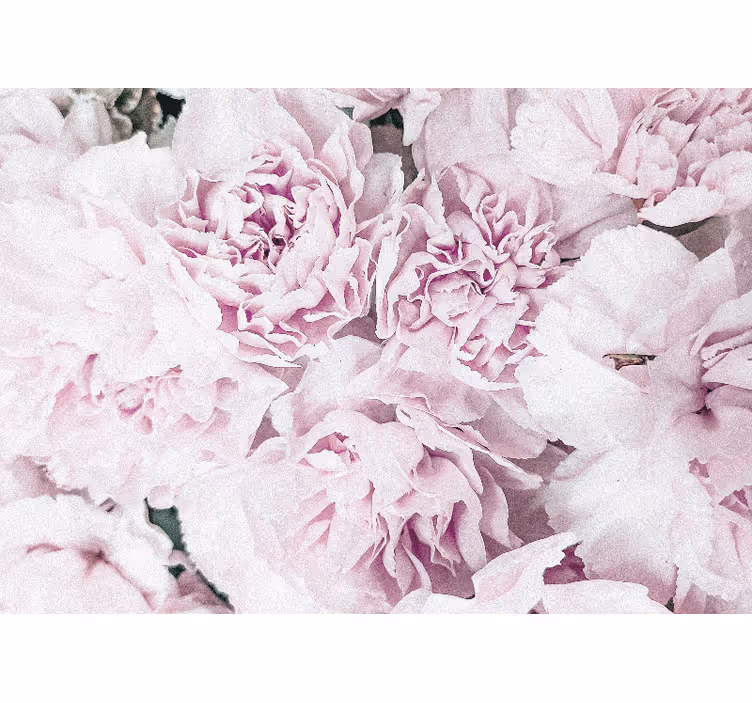 Fotobehang bloemen zachte roze bloesems - TenStickers