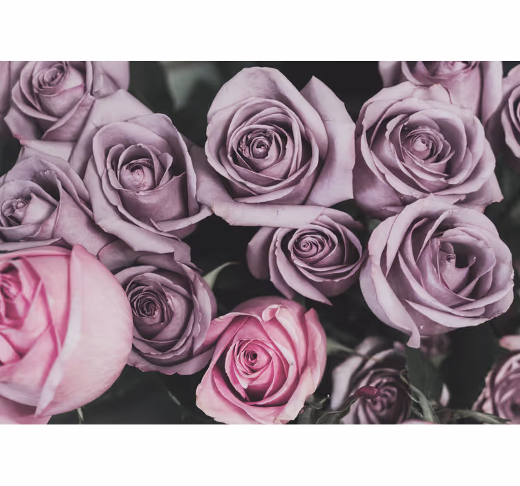Fotobehang bloemen lavendel rozenboeket - TenStickers
