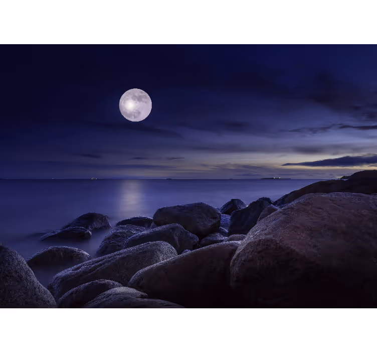 Fotobehang lucht maanschijn verlichte zeezicht - TenStickers