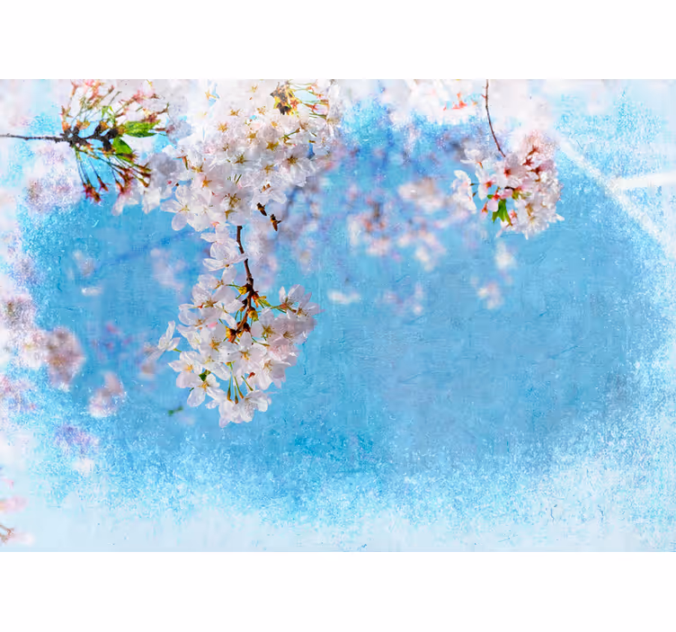 Kersenbloesem sereniteit fotobehang bloemen - TenStickers
