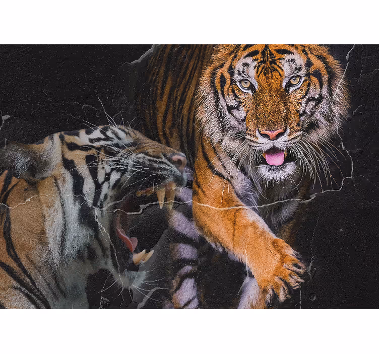 Fotobehang dieren majestueuze tijger ontmoeting - TenStickers