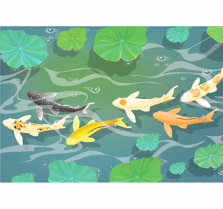 Fotobehang dieren koi-vijver - TenStickers