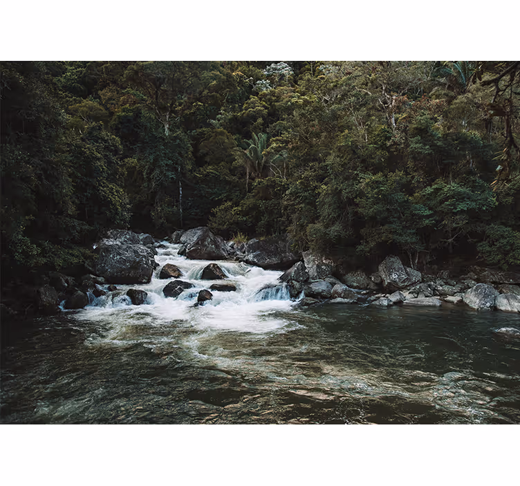 Serene rivierscène foto behang natuur - TenStickers