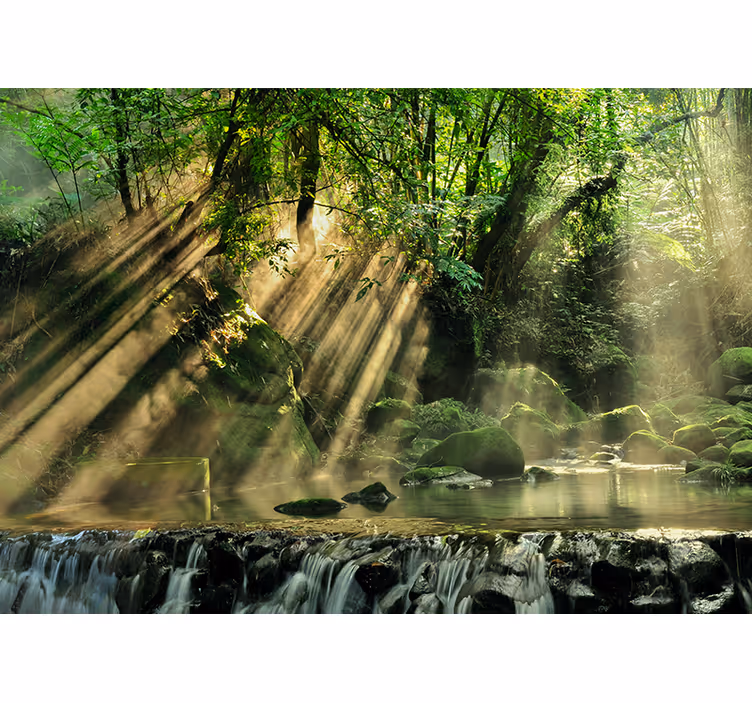 Zonnige bosbeek foto behang natuur - TenStickers