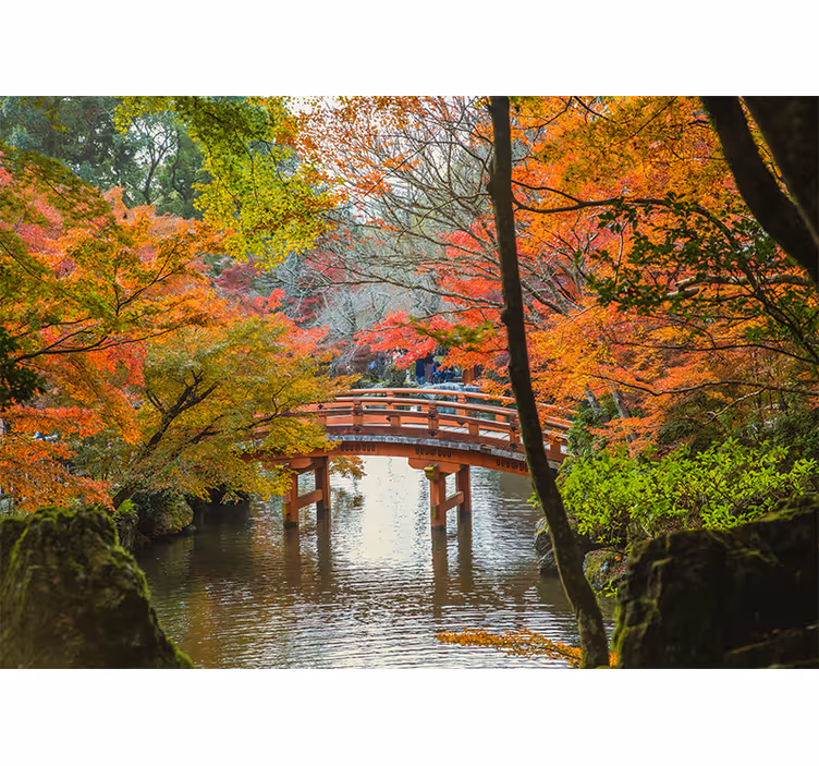 Foto behang natuur herfstbrug scène - TenStickers