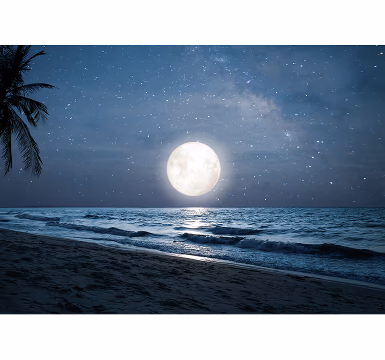 Foto behang natuur helder maanverlicht oceaan - TenStickers
