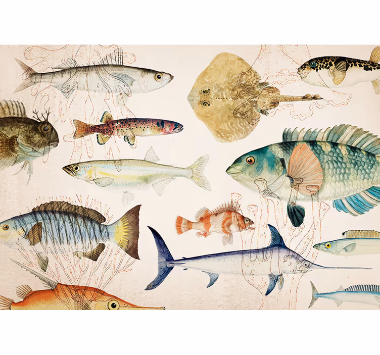 Fotobehang dieren marine leven collectie - TenStickers