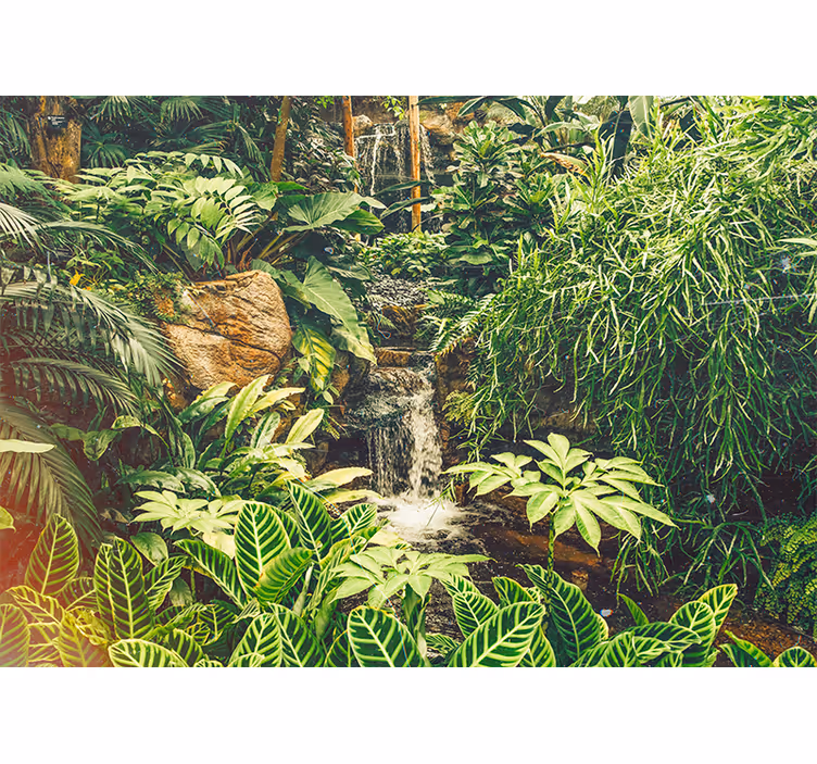 Fotobehang natuur tropisch levendig paradijs - TenStickers
