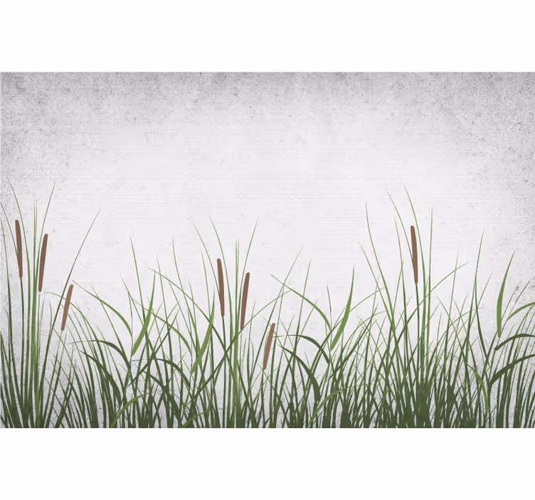 Fotobehang bloemen tulp en gras - TenStickers