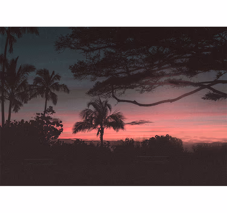 Fotobehang landschap tropische zonsondergang silhouet - TenStickers