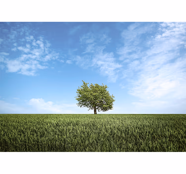 Fotobehang natuur eenzame boom landschap - TenStickers