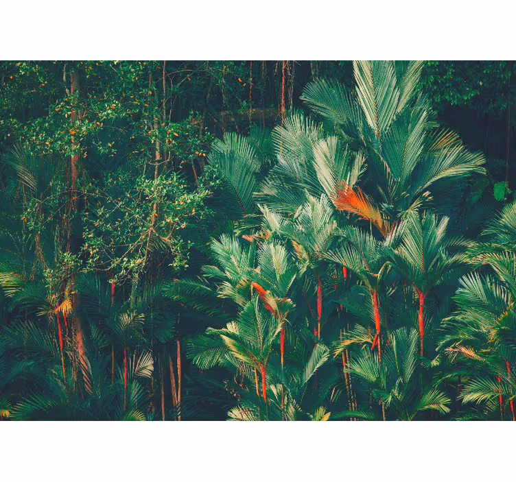 Foto behang jungle tropische palm collectie - TenStickers
