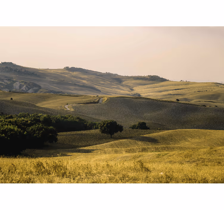Fotobehang landschap golvende heuvels - TenStickers
