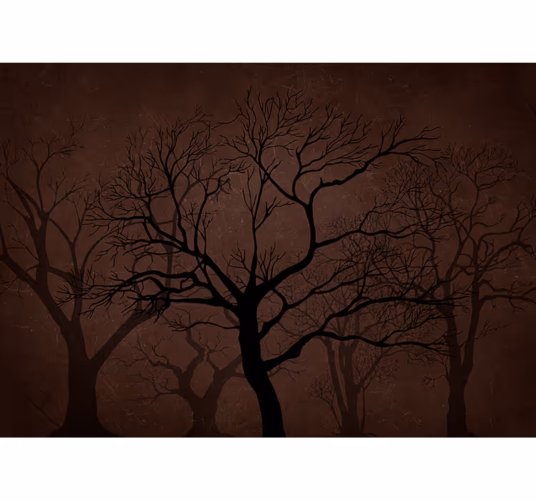 Foto behang bos donkere silhouetten van bomen - TenStickers