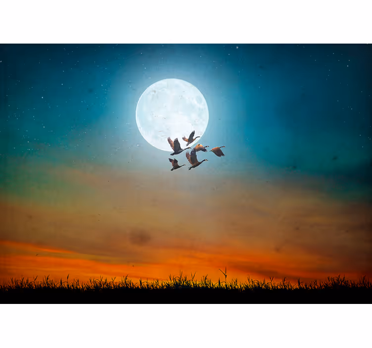 Foto behang natuur moonlit sky flock - TenStickers