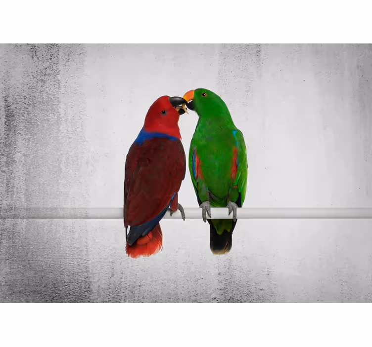 Foto behang diverse dieren kleurrijke papegaaien interactie - TenStickers