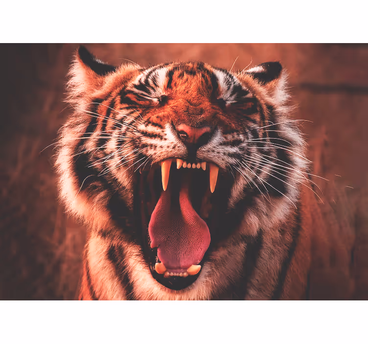 Foto behang diverse dieren majestueuze tijger brul - TenStickers