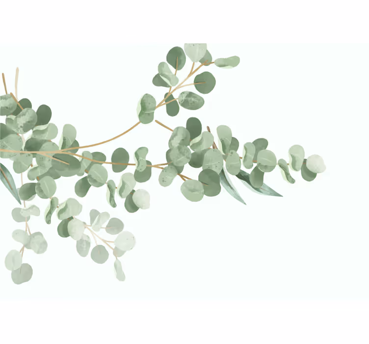 Fotobehang andere bloemen eucalyptusblad arrangement - TenStickers