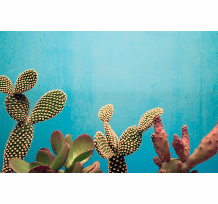 Fotobehang blauwe muur verschillende cactussen - TenStickers