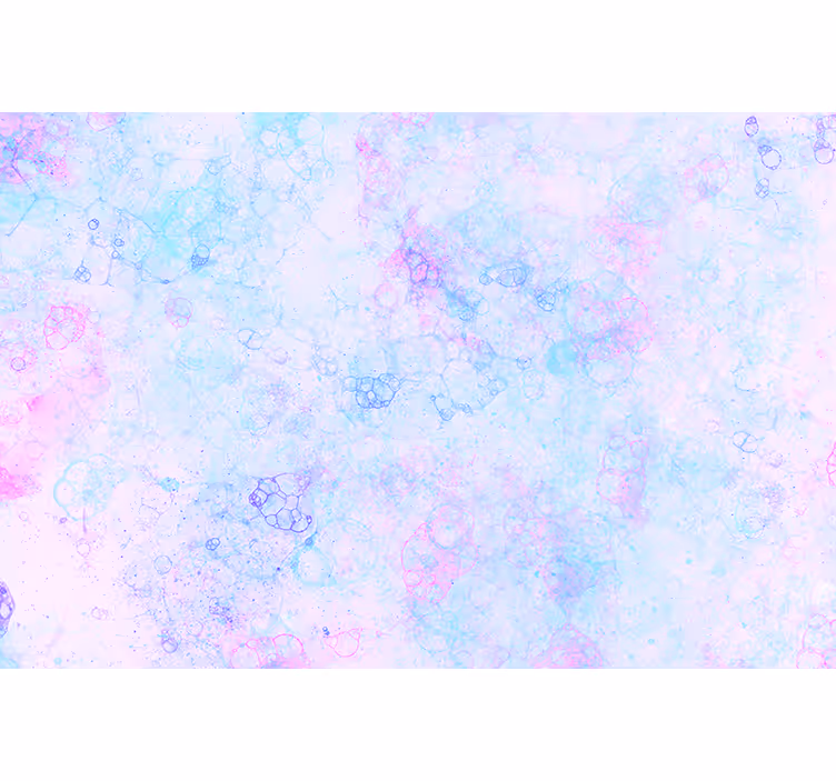 Roze en blauwe bubbels 3d fotobehang - TenStickers
