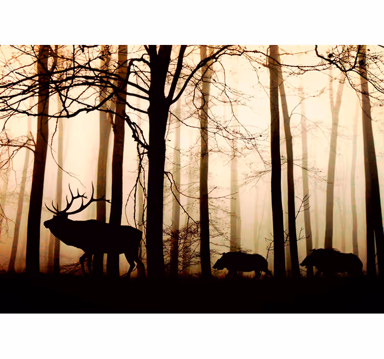 Silhouet van bosfauna foto behang natuur - TenStickers